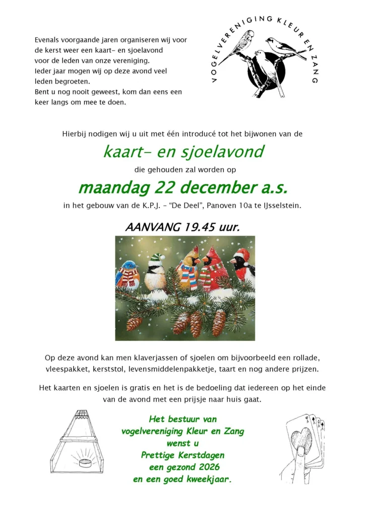 kaart en sjoelen kerst 2025